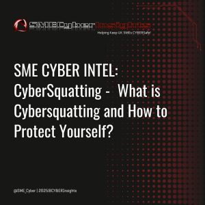 CoCYBERSnippets_CyberSquatting (3)