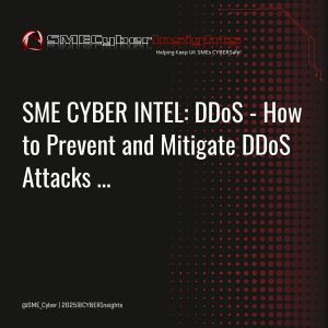 CyberSnippets_DDoS (2)