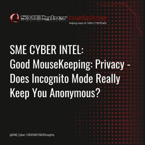 CYBERSnippets_GoodMouseKeepingPrivacy (4)