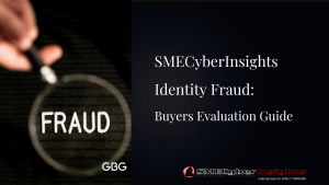 CYBERInsights Top5s...IDTheft (1)