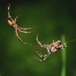 The latest Scattered Spider-linked sentencing highlights how identity-driven attacks can cause major disruption.
